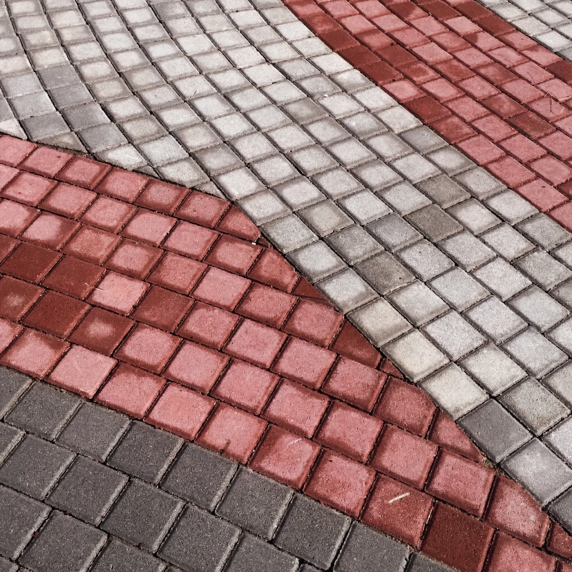 Project Showcase
